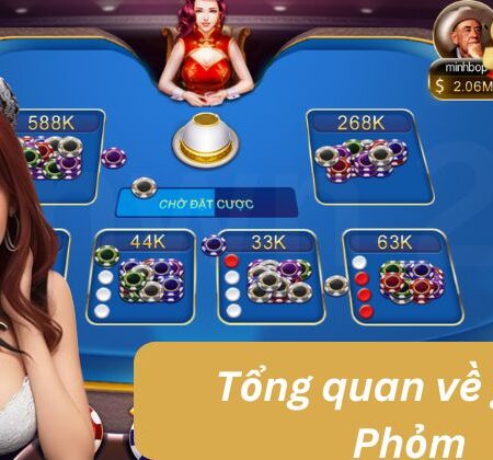 Hướng Dẫn Chơi Và Quy Tắc Phỏm Dành Cho Tân Binh